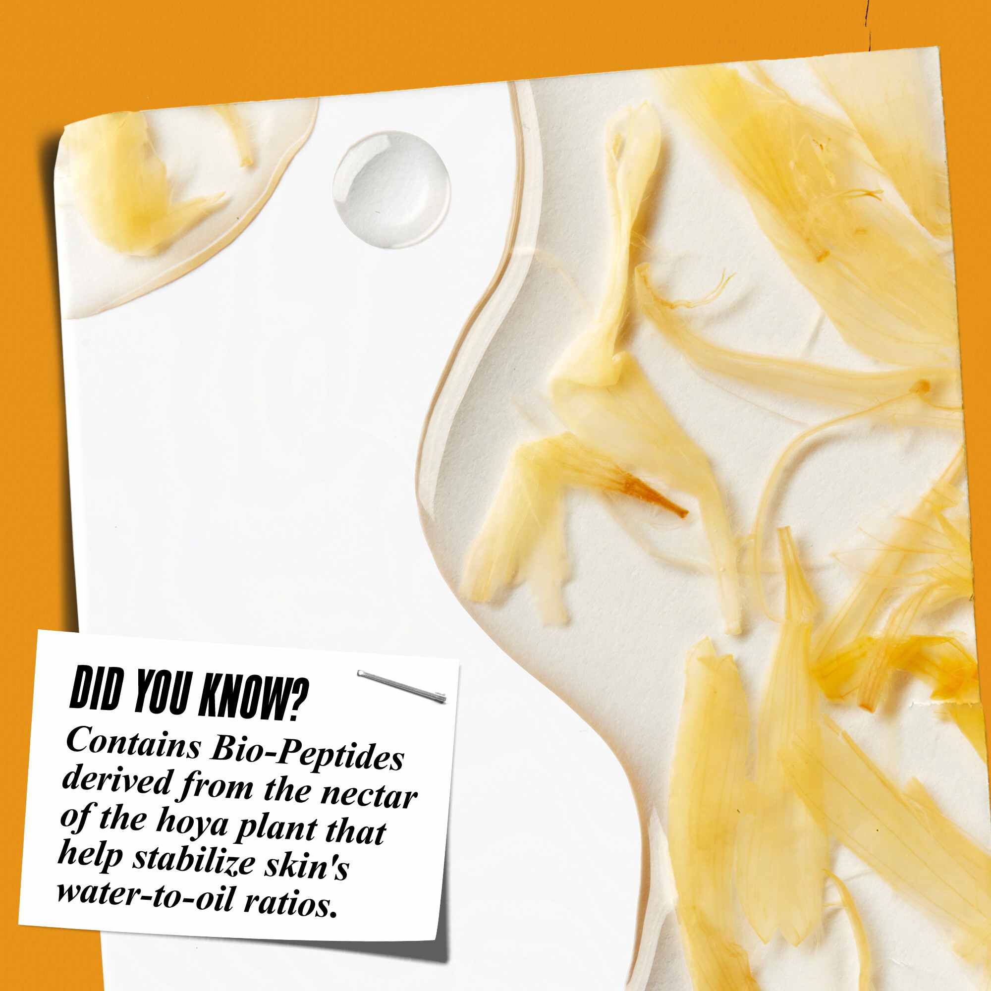 Bližinski posnetek teksture tonika Calendula Herbal-Extract z lističi ognjiča in besedilom: »Ali ste vedeli? Vsebuje bio-peptide, pridobljene iz nektarja rastline hoya, ki pomagajo stabilizirati razmerje med vodo in oljem v koži.«