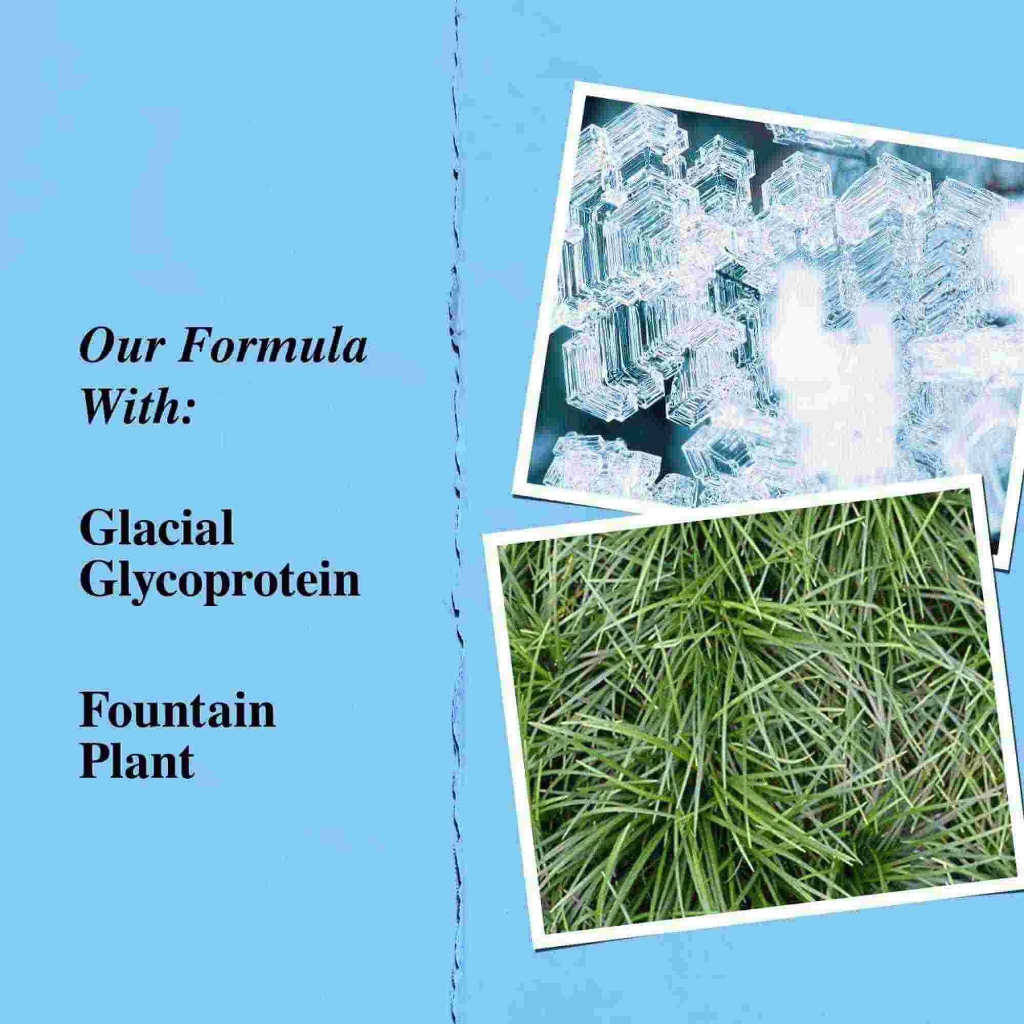 Grafični prikaz ključnih sestavin: ledeniški glikoprotein in kačja brada (fountain plant).