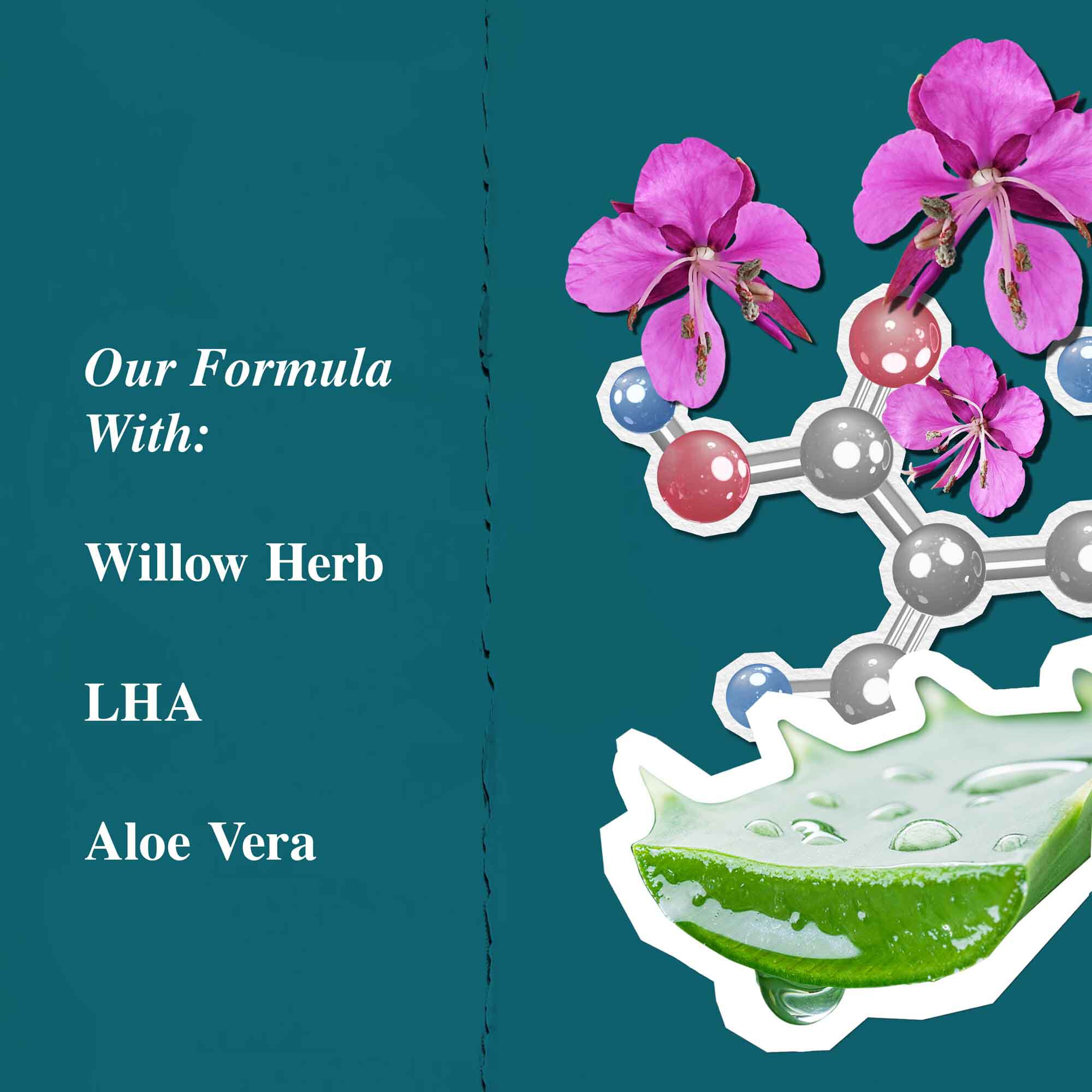 Grafični prikaz sestavin za Close Shavers Squadron Smooth Glider Precision Shave Lotion, ki poudarja vrbovec in aloe vero.