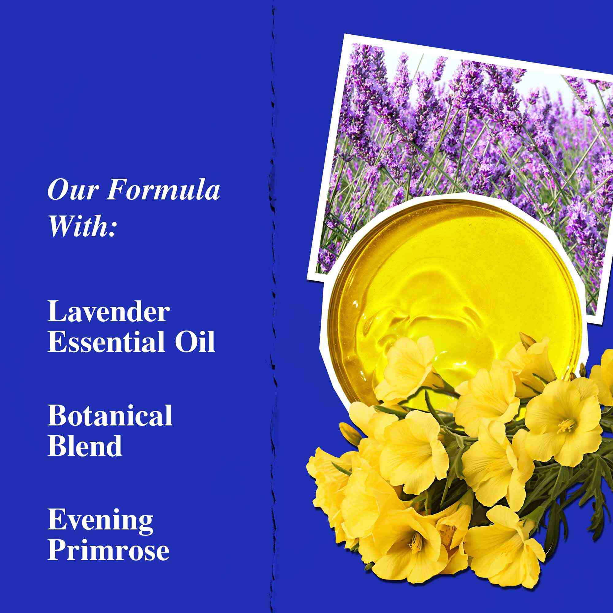 Ključne sestavine Midnight Recovery Concentrate, ki poudarjajo eterično olje sivke, svetlinovo olje in skvalan.