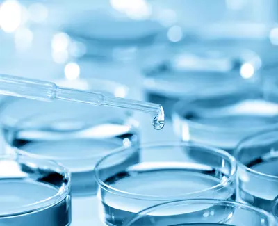 A close-up of a glass pipette dripping a droplet of liquid into several blue petri dishes.